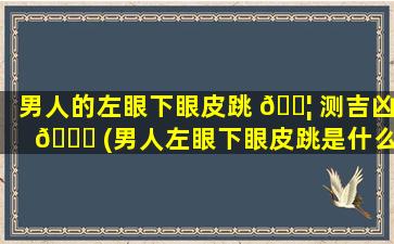 男人的左眼下眼皮跳 🐦 测吉凶 💐 (男人左眼下眼皮跳是什么意思)